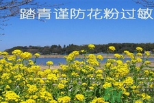 花粉過敏的表現(xiàn)是什么？如何有效的預(yù)防花粉過敏？