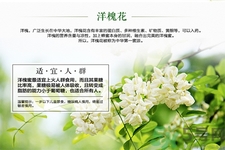 洋槐蜜是什么？洋槐蜜的作用與功效有哪些？