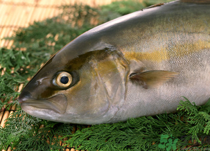 魚眼睛可以吃嗎？吃魚眼睛有什么好處？