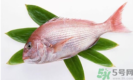 吃魚(yú)眼睛對(duì)眼睛有好處嗎？吃什么魚(yú)對(duì)眼睛好？