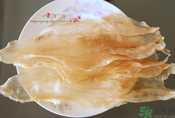 魚膠是什么？魚膠的功效與作用？