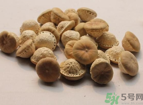 壯陽(yáng)果可以泡水喝嗎？壯陽(yáng)果泡水喝的功效與作用