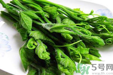 南瓜藤的功效作用有哪些？南瓜藤的食用價值是什么？