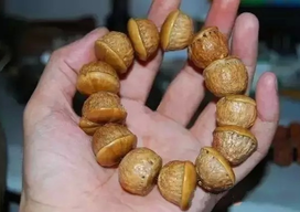 壯陽果怎么泡酒？ 壯陽果泡酒的功效與作用