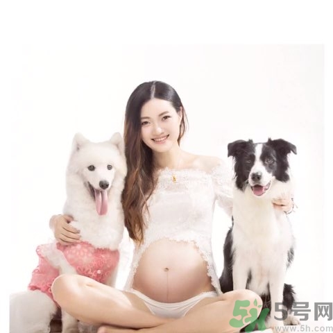 孕婦可以養(yǎng)狗嗎？養(yǎng)狗對孕婦有影響嗎？