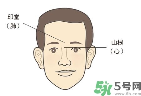 耳垂上有豎紋是怎么回事？山根有橫紋是什么??？