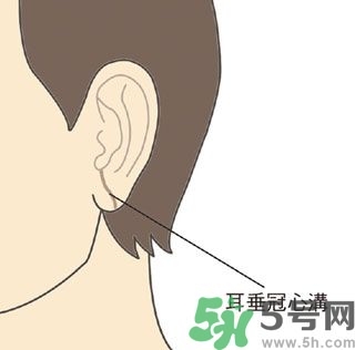 耳垂上有豎紋是怎么回事？山根有橫紋是什么?。?></p><h3>面色</h3><h5>我們東方人正常的臉色是黃紅隱隱，有光澤滋潤感，但會隨著季節(jié)，顏色稍微有些變化，例如夏天天氣炎熱，臉色稍微偏紅，冬天天氣寒冷，臉色稍微偏白，都是正常的。但是若有以下情況可就要小心了！</h5><h4>1. 面色長期不變，不隨季節(jié)改變。</h4><p>● 面色暗紅，底層多細(xì)細(xì)的暗色小血絡(luò)。</p><p>● 面色灰黑暗沉，沒有光澤，甚至浮腫。</p><p>● 面色蒼白沒有光澤。</p><h4>2.冬天時兩側(cè)顴骨偏紅，甚至有熱感。</h4><p>許多風(fēng)濕性心臟病患者，當(dāng)他的二尖瓣出現(xiàn)病變時，面色會變?yōu)榘导t。中醫(yī)認(rèn)為面部代表心臟，面部不正常的暗紅色或暗沉，尤其暗紅色出現(xiàn)在屬於小腸經(jīng)的顴骨部位，除了氣血阻滯之外，還表示心臟跳動過度，就像引擎過熱一樣，長此以往，很容易胸部悶痛、呼吸短促，嚴(yán)重者還會出現(xiàn)心臟衰竭。</p><p>面色蒼白者，多屬於氣血不足的虛證，體力差，容易心悸胸悶。</p> </div>
<div align=