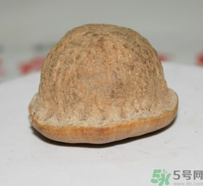 壯陽果多少錢一斤？壯陽果真的有效果嗎？