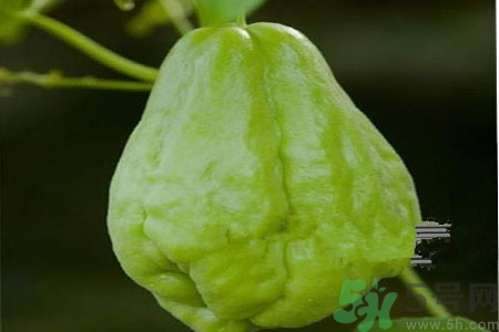 佛手瓜的功效與作用是什么？佛手瓜的營(yíng)養(yǎng)價(jià)值有哪些？