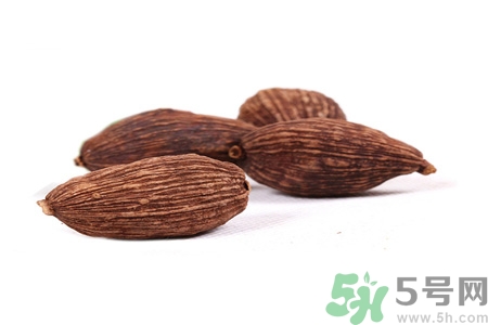 草果是什么？草果的功效與作用