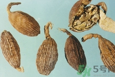 草果是什么？草果的功效與作用