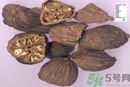 草果是什么？草果的功效與作用