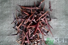 皂角刺的藥用價(jià)值是什么？皂角刺的功效與作用有哪些？