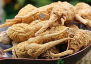 吃瑪卡有副作用嗎？吃瑪卡的副作用及禁忌