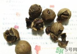 三只松鼠多少錢一袋？三只松鼠價格