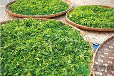 如何自制減肥茶？自制減肥茶需要哪些材料？