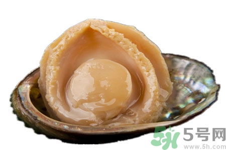 鮑魚如何挑選？鮑魚怎么保存？