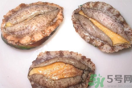 鮑魚的營養(yǎng)價(jià)值有哪些？鮑魚的藥用價(jià)值是什么？