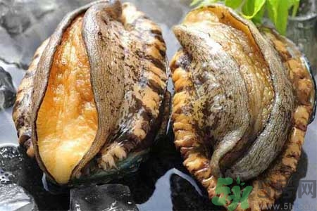 鮑魚的營養(yǎng)價(jià)值有哪些？鮑魚的藥用價(jià)值是什么？
