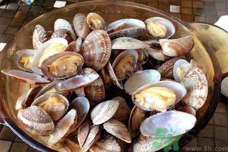 蛤蜊的食用方法有哪些？蛤蜊的營養(yǎng)價(jià)值是什么？
