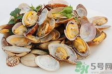 蛤蜊的食用方法有哪些？蛤蜊的營養(yǎng)價(jià)值是什么？