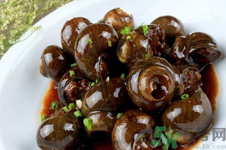 田螺肉怎樣做？田螺的營(yíng)養(yǎng)價(jià)值有哪些？