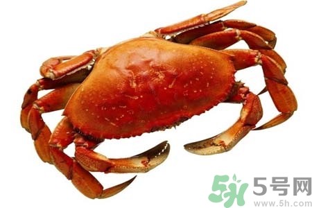 活螃蟹怎么洗？凍螃蟹怎么洗？