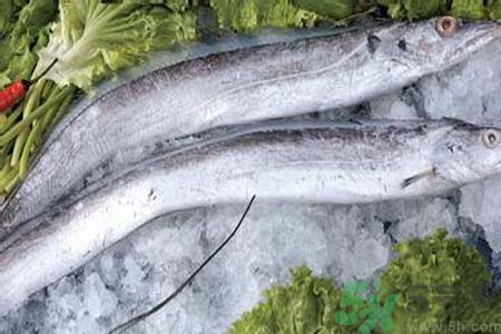 凍帶魚怎么解凍？帶魚內(nèi)臟怎么洗？
