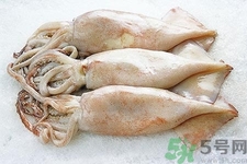 魷魚(yú)怎么處理？干魷魚(yú)怎么泡發(fā)？