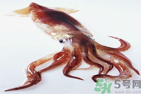 魷魚(yú)怎么處理？干魷魚(yú)怎么泡發(fā)？