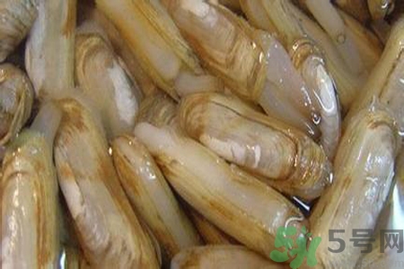 蟶子怎么洗？新鮮蟶子怎么挑選？