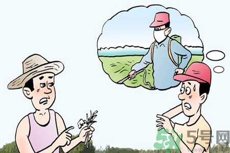 怎么洗掉水果上的農(nóng)藥？農(nóng)藥殘留的危害有哪些？