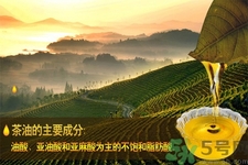 茶油是什么？茶油怎么吃？