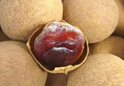 干桂圓吃多了會(huì)上火嗎？吃干桂圓上火怎么辦？
