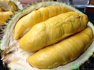 金枕頭榴蓮和普通榴蓮有什么區(qū)別？金枕頭榴蓮怎么挑？