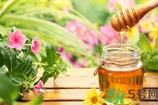 蜂蜜不能和什么一起吃？哪些人不能吃蜂蜜？
