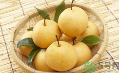 娃娃梨是怎么種出來(lái)的？娃娃梨為什么外形像娃娃？