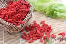 枸杞子泡酒怎么泡？枸杞酒的制作方法是什么？