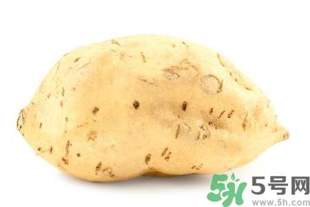 白薯的功效與作用 白薯的營(yíng)養(yǎng)價(jià)值