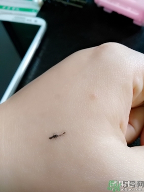 悅詩風吟睫毛膏使用方法 悅詩風吟睫毛膏怎么用？