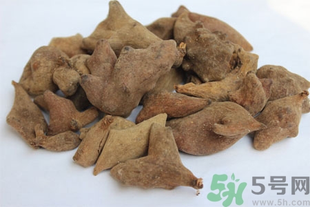 五倍子能治早泄嗎？五倍子的副作用有哪些？