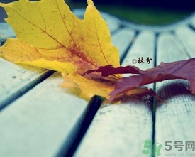 秋分出生的人怎么起名？秋分出生的人的命運(yùn)？