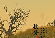 秋分吃什么？秋分吃什么水果？
