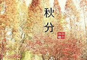 秋分出生的人怎么起名？秋分出生的人的命運？
