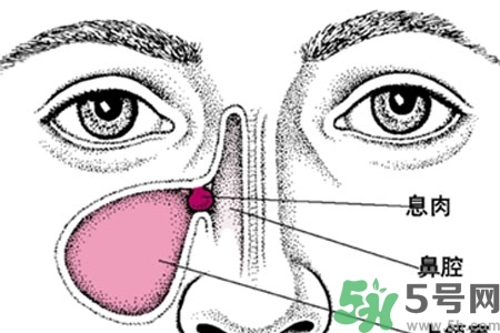 鼻子不通氣是怎么回事？鼻子不通氣怎么辦？