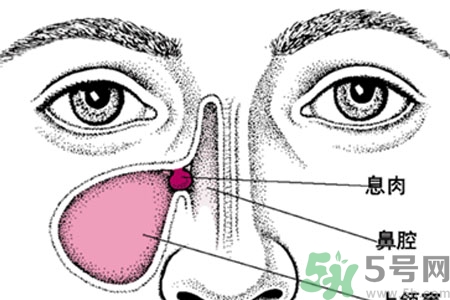鼻子出血怎么辦？鼻子出血的原因是什么？