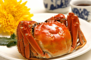螃蟹什么季節(jié)最好吃？螃蟹幾月份吃最好？