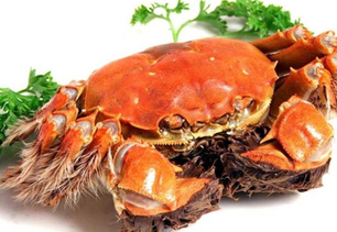 螃蟹什么季節(jié)最好吃？螃蟹幾月份吃最好？