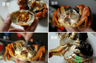 陽(yáng)澄湖大閘蟹怎么吃？食陽(yáng)澄湖大閘蟹注意事項(xiàng)