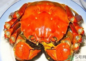 大閘蟹什么季節(jié)吃最好？吃大閘蟹的季節(jié)